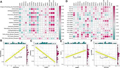 Identification of immune characteristic landscapes related to autophagy in ischemic stroke